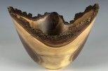 Black Walnut full branch #53-11 (8" wide x 5.75" high SOLD) VIEW 1
