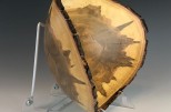 Ambrosia Maple #43-11 (15" wide x 5.75" high $165) VIEW 3
