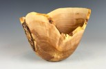 Willow Burl #51-70 (7" wide x 5" high SOLD) VIEW 2