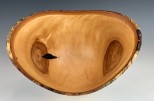 Yellow birch full log, epoxy #26-67 (12.5" wide x 8" high $165) VIEW 4