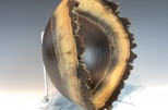 Black Walnut #52-15 (12.5" wide x 6.25" high $175) VIEW 4