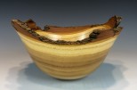 Black Locust #12-74 (8.75" wide x 4.75" high $65) VIEW 1<div></div>