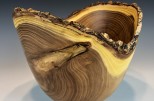 Siberian Elm full log #52-01 (10.5" wide x 8.75" high $175) VIEW 3
