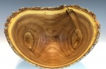 Siberian Elm full log #52-03 (10.75" wide x 8.5" high $175) VIEW 4
