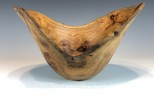 Burled Chinese Elm #18-48 (8.25" wide x 5" high $65) VIEW 1<div></div>