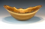 Red mulberry #33-54 (16" wide x 6" high $210) VIEW 1