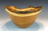 Red mulberry #33-57 (11" wide x 6.25" high $140) VIEW 1