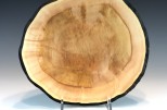 Willow Burl #51-72 (10.25" wide x 3.25" high $80) VIEW 3