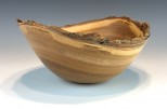 Red Elm #53-25 (9" wide x 4" high $80) VIEW 2