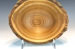 Red Elm #53-25 (9" wide x 4" high $80) VIEW 3
