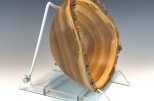 Red Elm #53-25 (9" wide x 4" high $80) VIEW 4