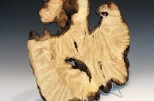 Maple burl #53-61 (15.25" wide x 1.25" high $235) VIEW 3