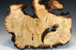 Maple burl #53-61 (15.25" wide x 1.25" high $235) VIEW 4