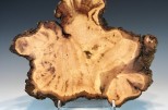 Maple burl #26-88 (13.25" wide x 3" high $165) VIEW 2