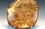 Maple burl #46-46 (11" wide x 2.25" high $120) VIEW 2