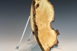 Maple burl #52-80 (12" wide x 2.75" high $150) VIEW 4