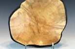 Maple burl #38-99 (11.5" wide x 2.75" high $110) VIEW 3