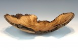 Maple burl #50-37 (9.5" wide x 2.25" high $95) VIEW 2