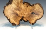 Maple burl #50-37 (9.5" wide x 2.25" high $95) VIEW 3