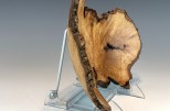 Maple burl #50-37 (9.5" wide x 2.25" high $95) VIEW 4