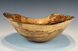 Maple burl #46-49 (9.5" wide x 4" high $105) VIEW 1