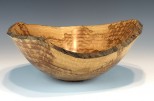 Maple burl #46-49 (9.5" wide x 4" high $105) VIEW 2