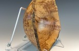 Maple burl #46-49 (9.5" wide x 4" high $105) VIEW 4