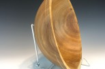 Red elm #560 (12.25" wide x 4.75" high $170) VIEW 4