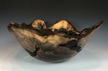 Black Walnut Burl #49-10 (17" wide x 7.5" high SOLD) VIEW 1