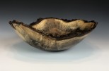 Black Walnut Burl #49-07 (14.75" wide x 5" high SOLD) VIEW 2