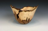 Maple burl #48-45 (8.25" wide x 6" high SOLD) VIEW 1