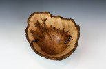 Maple burl #48-45 (8.25" wide x 6" high SOLD) VIEW 3