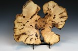 Maple burl #48-70 (12.5" wide x 4" high SOLD) VIEW 1