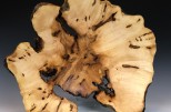Maple burl #48-69 (14.25" wide x 4.25" high SOLD) VIEW 1