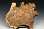 Maple burl #48-73 (13" wide x 1.5" high SOLD)