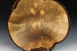 Yellow Birch burl #49-62 (13.5" wide x 3.25" high $240) VIEW 1