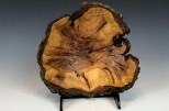 Maple burl #48-58 (7" wide x 2.25" high SOLD)