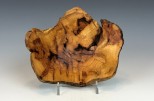 Maple burl #48-66 (6.25" wide x 2.75" high SOLD) VIEW 1