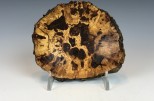 Maple burl #48-65 (4.25" wide x 1" high SOLD)