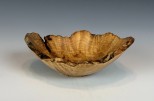 Maple burl #48-67 (5.5" wide x 2" high SOLD) VIEW 2