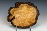 Maple burl #48-64 (6" wide x 1.75" high SOLD)