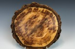 Maple burl #48-63 (6.25" wide x 1.5" high SOLD)