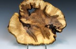 Maple burl #48-52 (8" wide x 2.5" high SOLD)