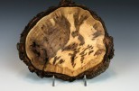 Maple burl #48-51 (7.75" wide x 2" high $80)