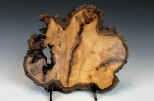 Maple burl #48-49 (9" wide x 2" high $105)