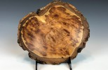 Maple burl #48-48 (8" wide x 1.75" high $80)