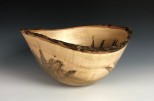 Ambrosia Maple #49-37 (12" wide x 6.5" high SOLD)