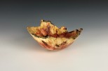 Box Elder burl #48-38 (7" wide x 3" high SOLD)