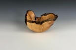 Maple burl #48-54 (7" wide x 3.25" high SOLD)