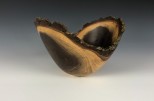 Black Walnut full log #44-38 (9.75" wide x 6" high $130) VIEW 1
